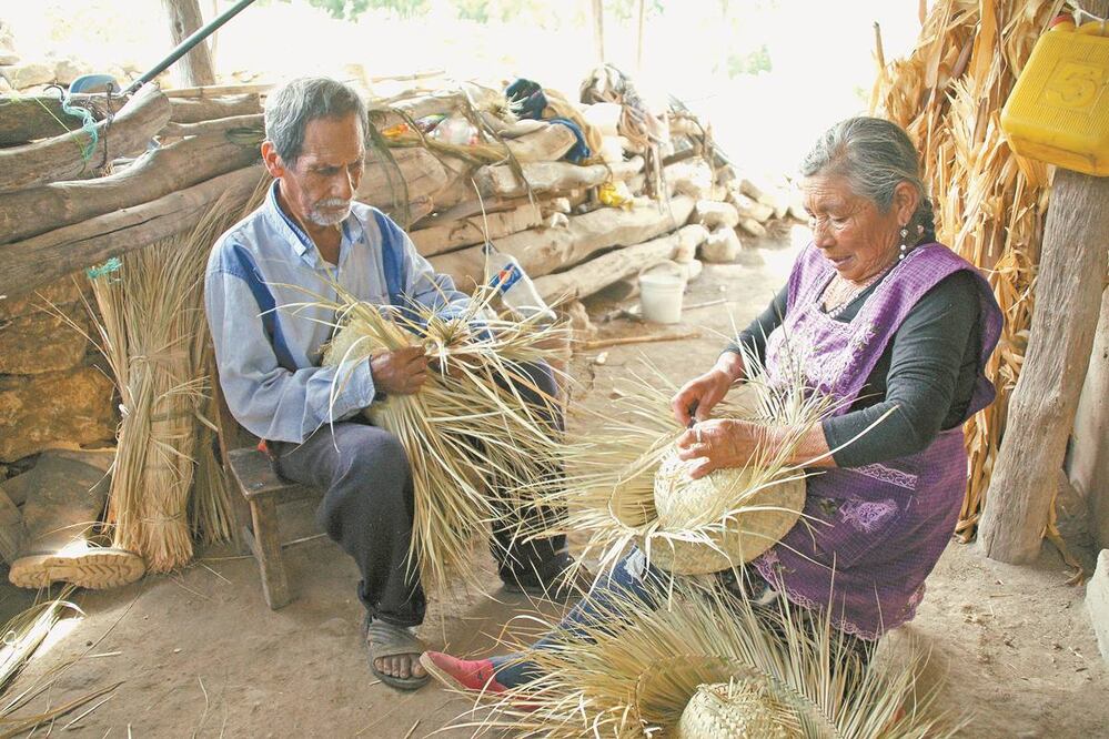En San Pedro Nodón las mujeres aprenden a tejer la palma desde los siete u ocho años, mientras que los hombres aprenden alrededor de los 12 años. Fotos: EDWIN HERNÁNDEZ. EL UNIVERSAL