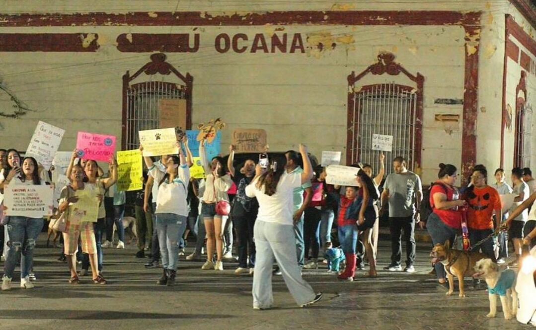 Activistas, asociaciones y sociedad en general se manifestaran para exigir justicia por el maltrato animal. Foto: Adogtame