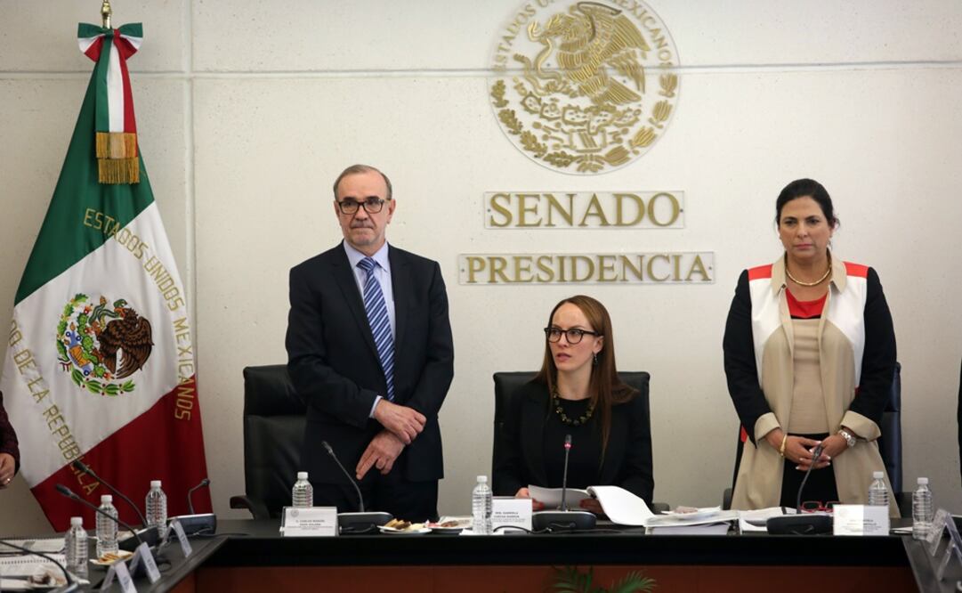 Carlos Manuel Sada expuso ante comisiones que nuestro país responderá a los ataques infundados. /Luis Cortes - EL UNIVERSAL