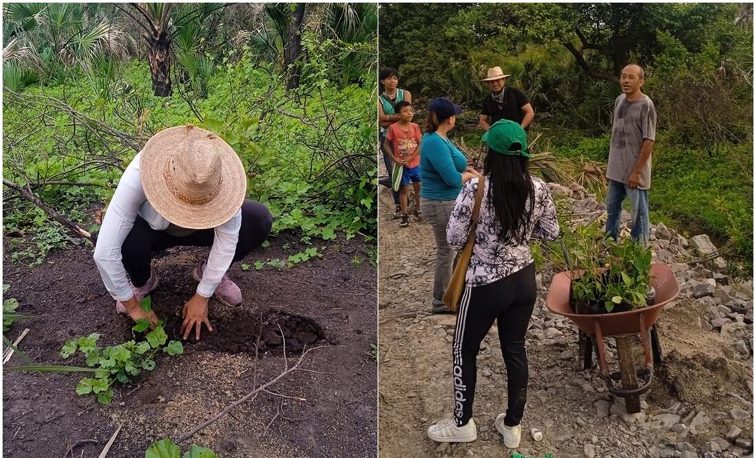 Defensores ambientales, autoridades comunales y pobladores siembran plantas en la Línea K del Tren Transístmico. Foto: Especial