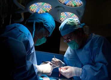 Castración quirúrgica para pederastas convictos ya es legal en Luisiana