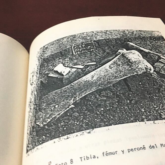 El INAH calcula que en las excavaciones hechas cerca de Santa Lucía se han encontrado restos de 50 mamuts. FOTOS: ESPECIAL