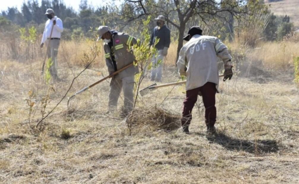 Limpieza del Cerro de la Estrella disminuye incendios, destaca Clara Brugada