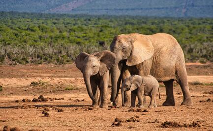 Cuál es el país más joven del mundo