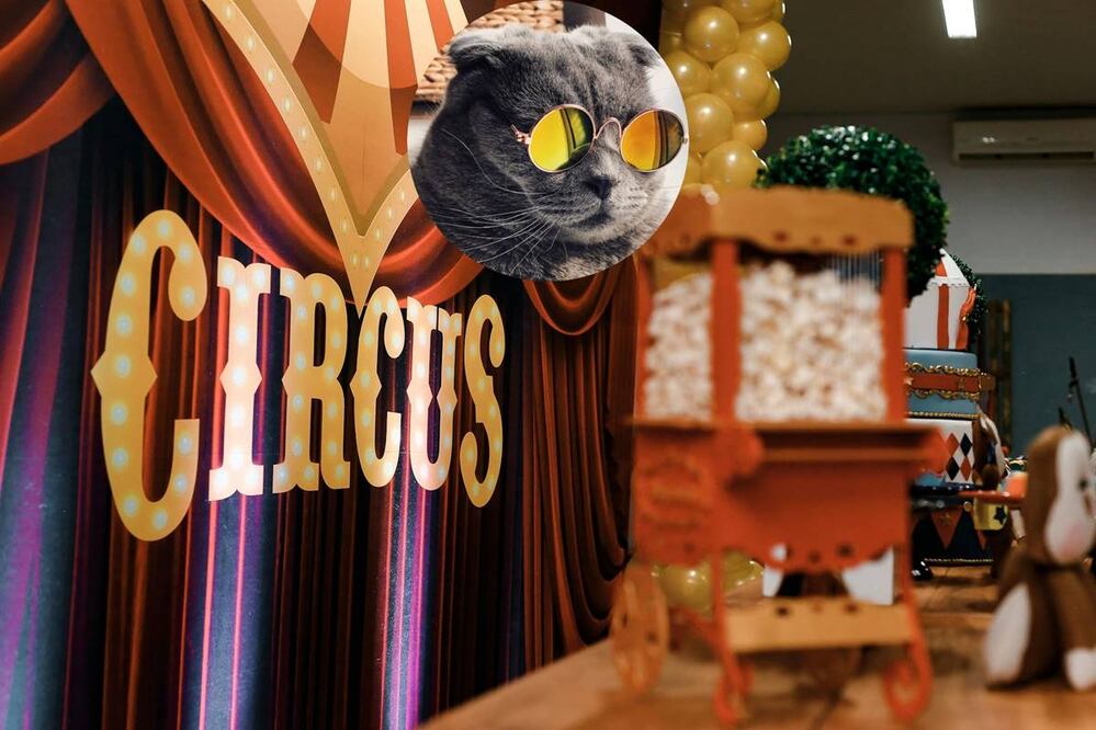 Fotos: Vidal Balielo Jr. Pexels; Raoul Droog. Unsplash