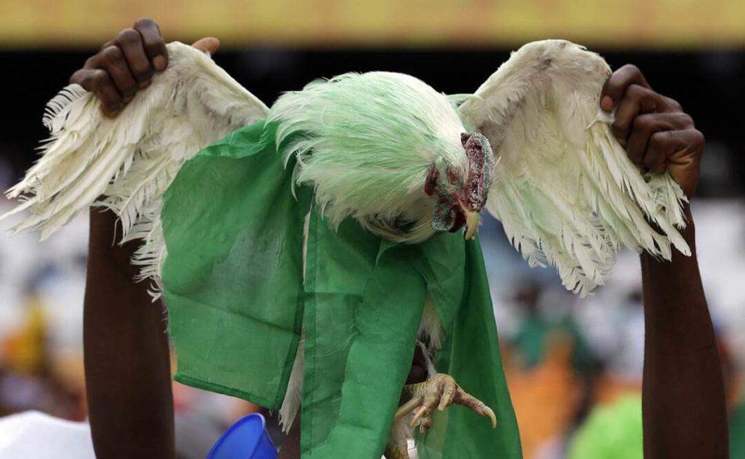 El Pollo, elemento fundamental en el "Kit del hincha" nigeriano, ausente ante Croacia 