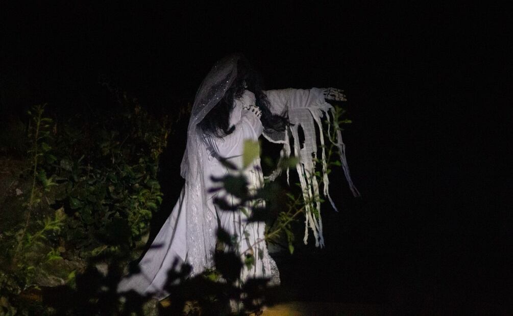 Santa Rosa Xochiac celebra el Día de Muertos con un festival que honra al bosque y las tradiciones. Foto: Fernanda Zamora