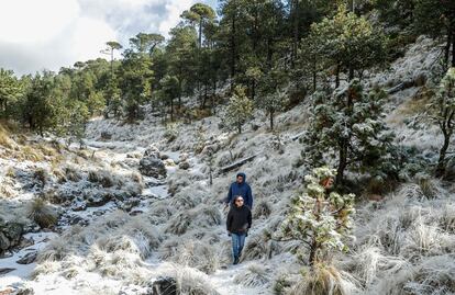 Se pierden en el Ajusco: Lanzan operativo para encontrar a 9 jóvenes desaparecidos