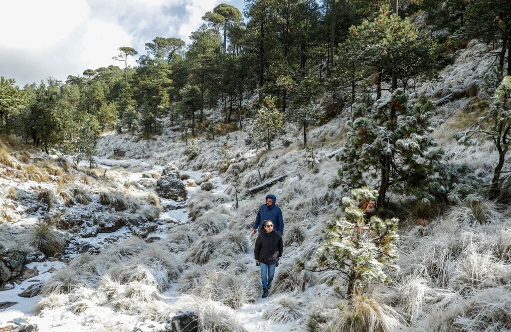 FOTO: Archivo/ EL UNIVERSAL/