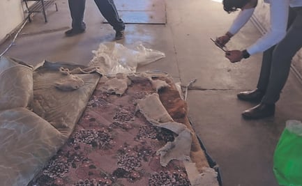 Causa indignación en Tula sentencia contra exalcalde 