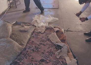 Causa indignación en Tula sentencia contra exalcalde