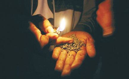 Jalisco, a favor de despenalización de marihuana: Aristóteles