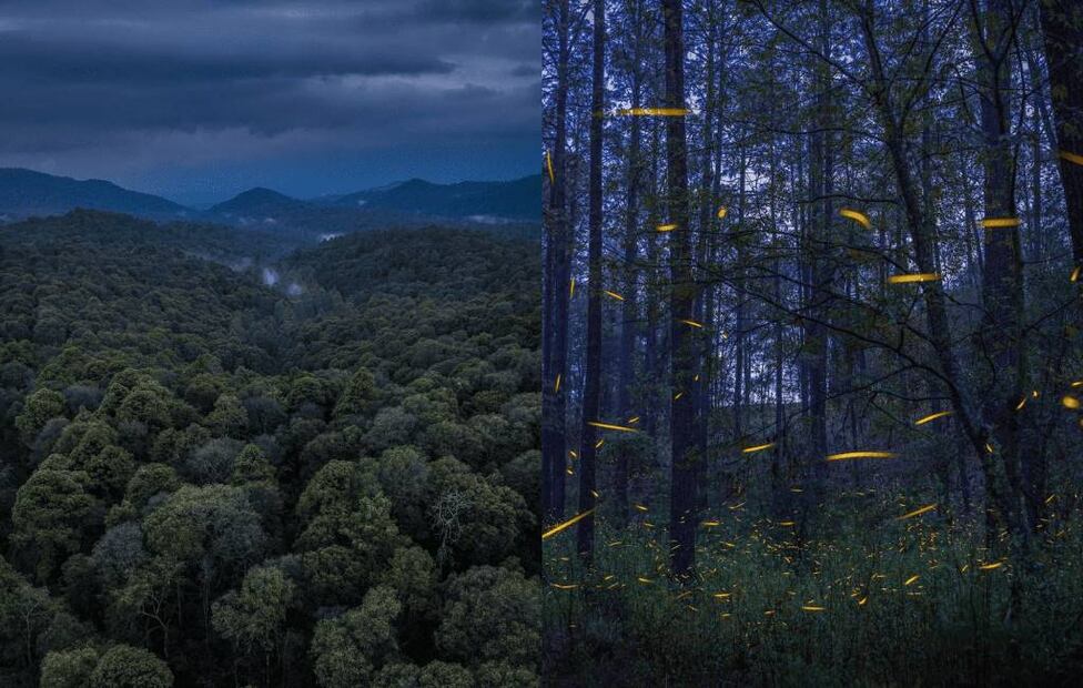 Fotos: Eco Reino Aventura