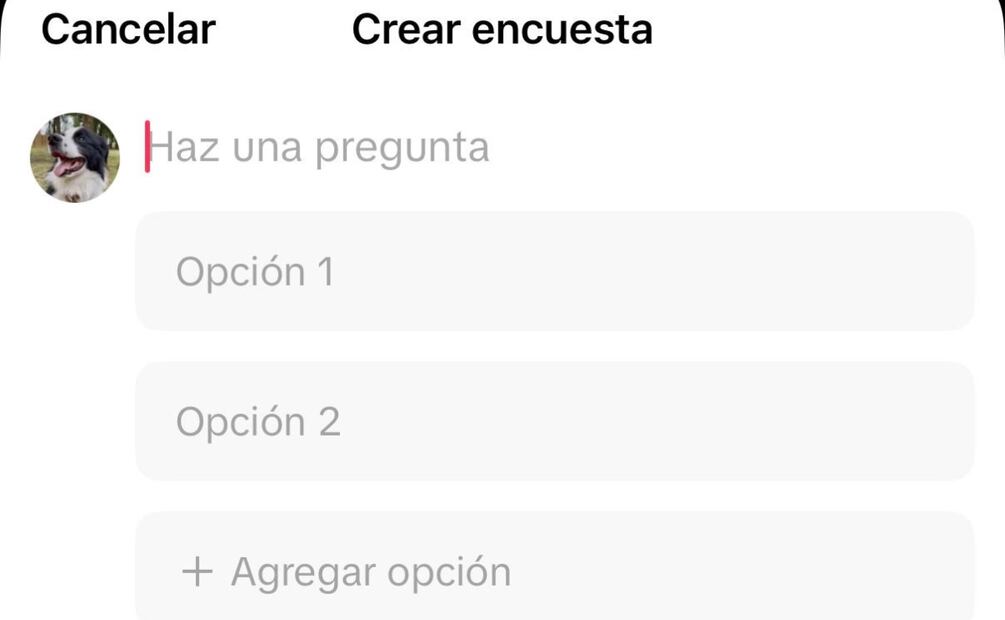 La plataforma suma voz, encuestas y carruseles de fotos para ampliar las formas de reaccionar y conversar dentro de los videos. Foto: Especial