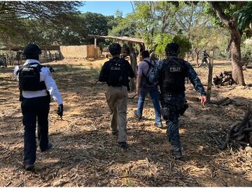 Hallan 6 cuerpos en fosas clandestinas ubicadas en ranchos de Chiapas; despliegan operativo con fuerzas federales y estatales