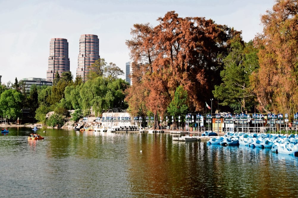 El espejo de agua es uno de los sitios emblemáticos del Bosque de Chapultepec, principal pulmón para limpiar el aire de la capital y una de las áreas verdes representativas de la Ciudad de México (IVAN STEPHENS. EL UNIVERSAL)