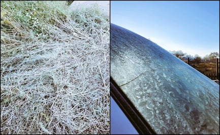 Reportan primera helada de la temporada otoño-invierno en Chihuahua 