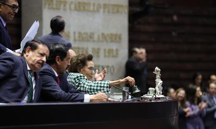 EN VIVO Sesión constitutiva en la Cámara de Diputados