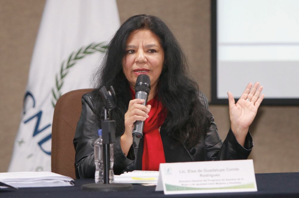 Elsa Conde, directora del Programa de Asuntos de la Mujer y de Igualdad entre Mujeres y Hombres de la CNDH, detalló que la SFP identifica la prevalencia de casos de acoso y hostigamiento sexual dentro de las dependencias (CNDH)