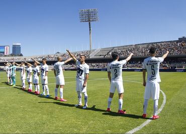 Los sorprendentes Pumas