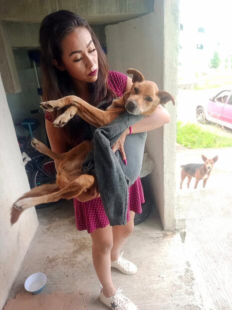 La "Barbie rescatista" invita a sumarse a su noble causa. Foto: Facebook