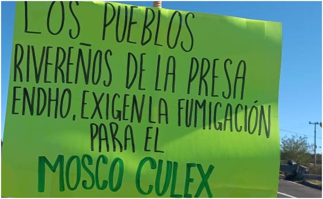 Exigen la fumigación del mosco Culex en las inmediaciones de la presa Endhó, ubicada en Hidalgo (26/11/2024). Foto: Especial