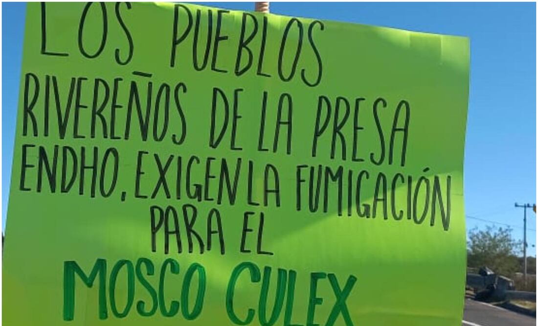 Exigen la fumigación del mosco Culex en las inmediaciones de la presa Endhó, ubicada en Hidalgo (26/11/2024). Foto: Especial