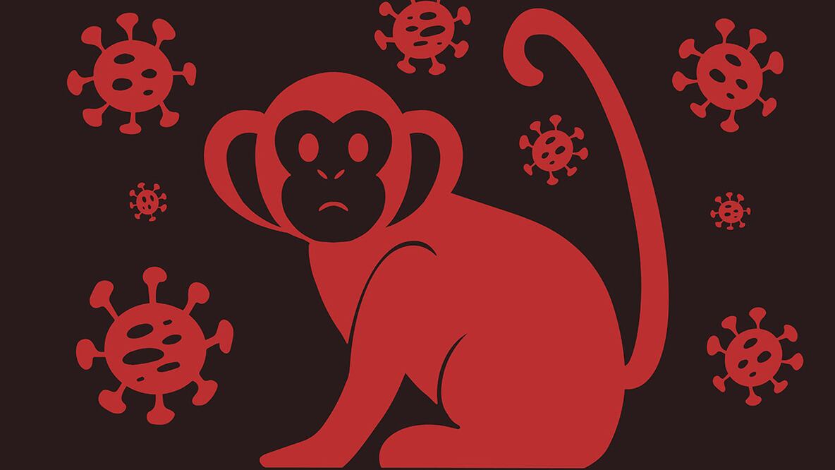 Geo-estética: ciencia, arte y políticas ambientales