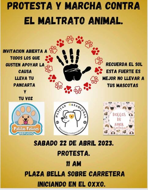 Marcha contra maltrato animal por el caso de Zeus. Foto: Facebook