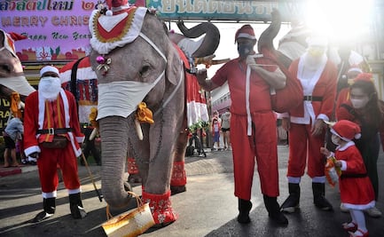 Elefantes vestidos como Santa Claus, reparten cubrebocas a niños en Tailandia