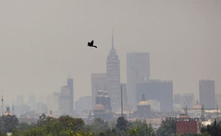 Se mantiene Fase 1 de Contingencia Ambiental por Ozono 