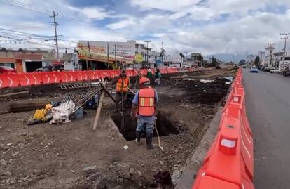 Derriban más de 670 árboles para obras del Trolebús Chalco- Santa Martha 
