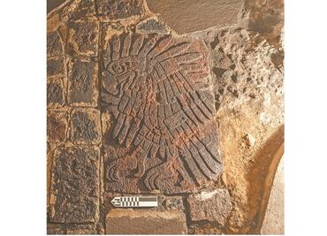 Así fue el hallazgo del águila real en el Templo Mayor