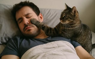 ¿Tu gato no te deja dormir?; esto revela la UNAM sobre su comportamiento