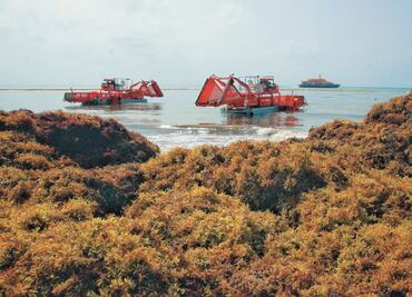 Inversión hacia México se ha frenado, afirma Coine