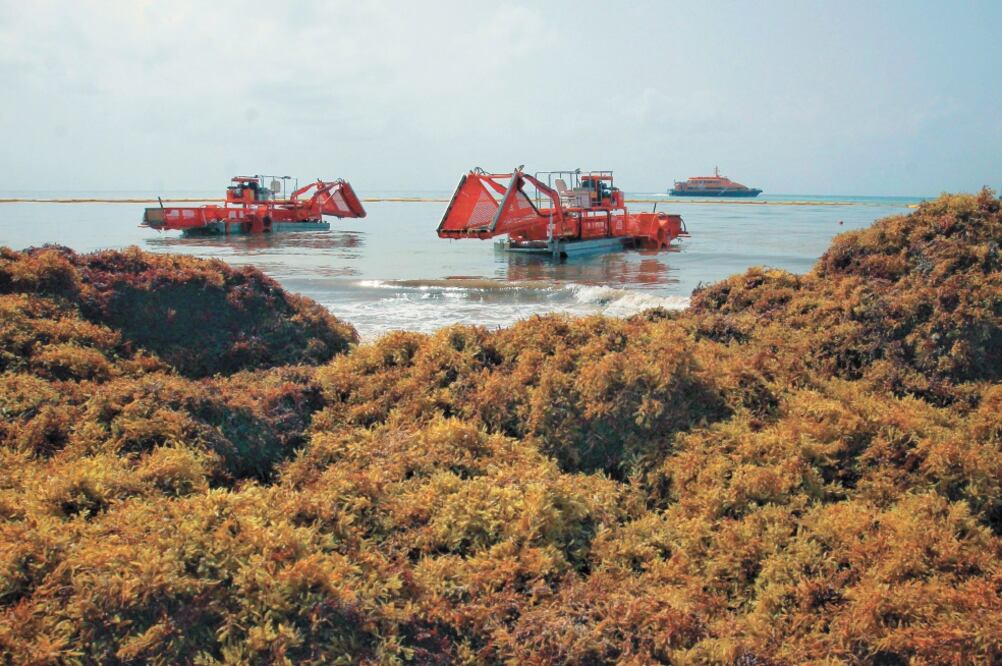 De acuerdo con el Coine, en el país están detenidos mil millones de dólares para atender temas de laboratorios y del sargazo, entre otros rubros. Foto: JUAN VALDIVIA. EFE