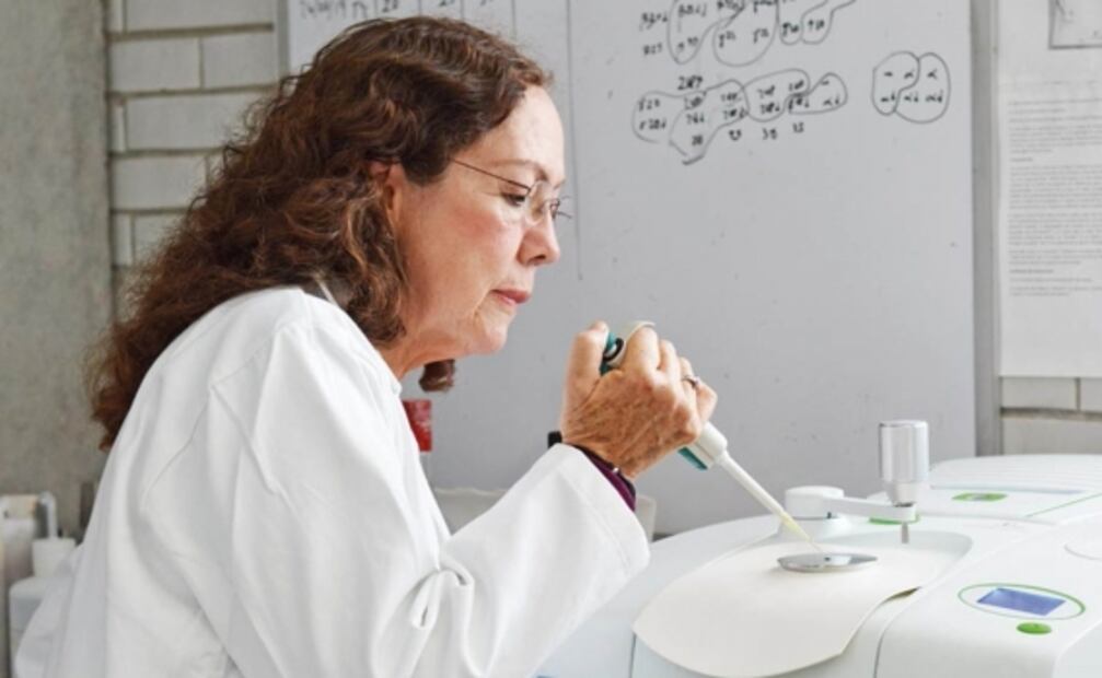 Adulteradas, 4 de cada 10 de botellas de tequila que se venden