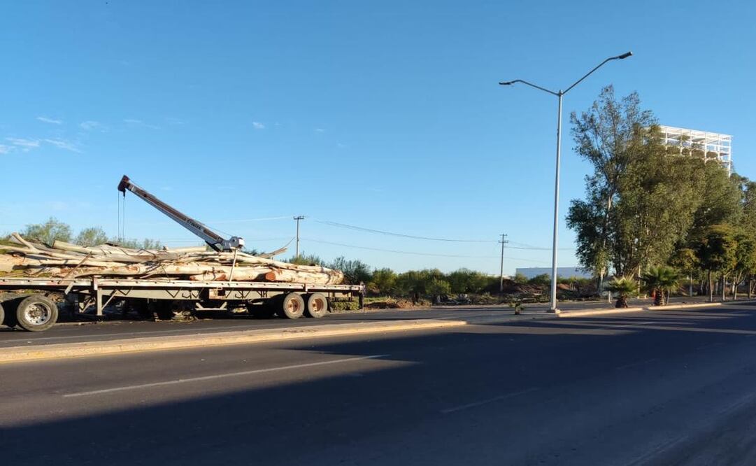 “Ya hemos hecho varias detenciones, en las que ya no pueden quedar libres los talamontes, se quedan detenidos; esto, a partir de la reforma al Código Penal", aseguró Martí Batres. Foto: Especial