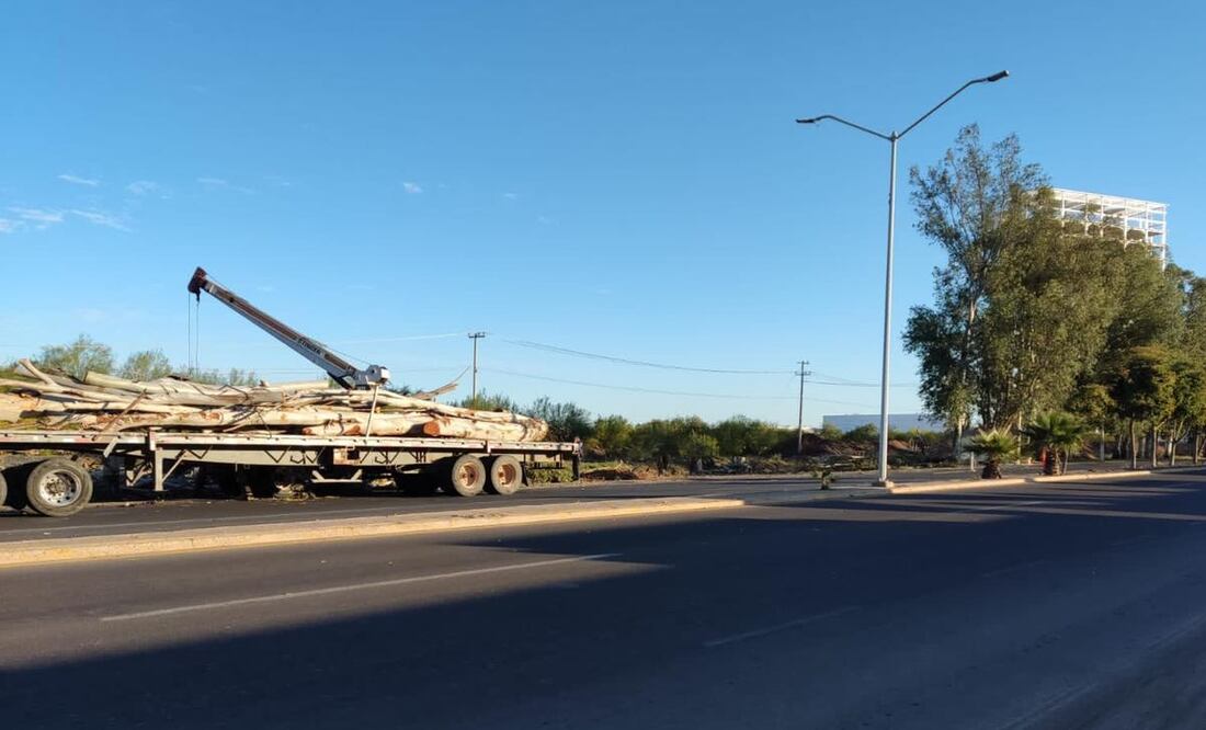 “Ya hemos hecho varias detenciones, en las que ya no pueden quedar libres los talamontes, se quedan detenidos; esto, a partir de la reforma al Código Penal", aseguró Martí Batres. Foto: Especial