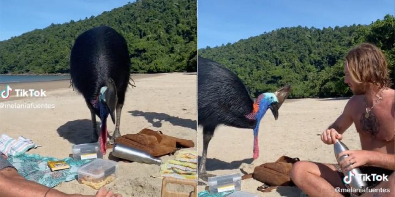 El clip ha acumulado hasta el momento más de dos mil comentarios. FOTO: TikTok @melaniafuentes