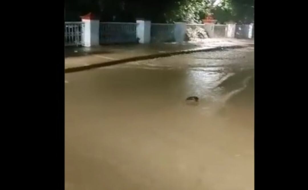 Foto: Captura de video