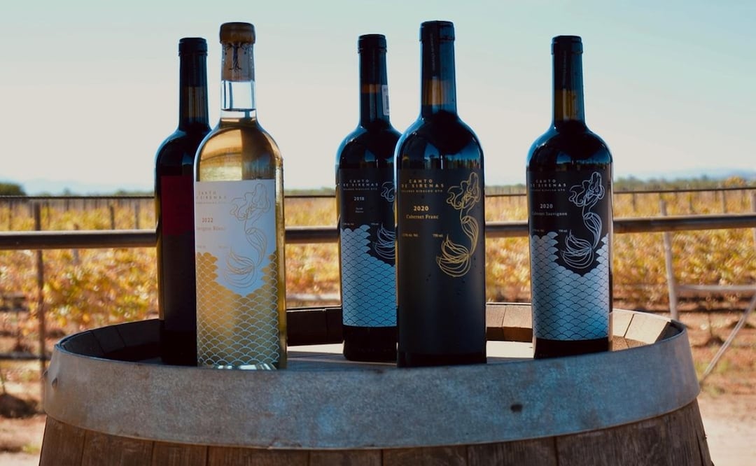 Bodegas vinícolas en Guanajuato. Foto: especial