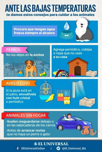 Capitalinos sufren por el frío, pero no por los memes