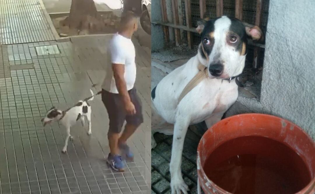 Foto Captura de video de Twitter @mauroszeta e imagen de Twitter 