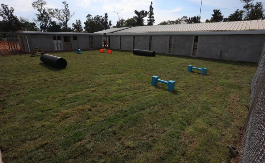 Clara Brugada encabeza el recorrido en el deportivo Hermanos Galeana en el espacio alterno para los caninos que fueron rescatados en el Refugio Franciscano.
Foto: Luis Camacho | El Universal