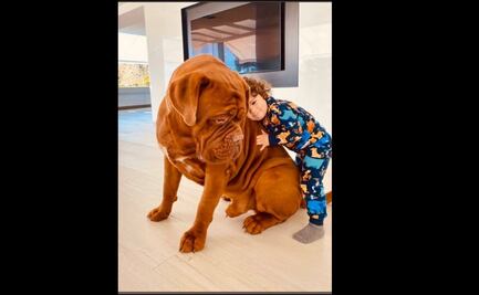 El "monstruoso" perro del hijo de Messi