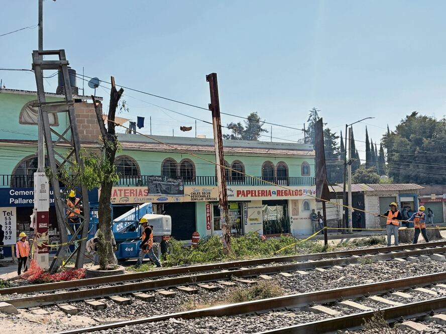 Los trabajos de adecuaciones del Tren México-Querétaro consisten en derribo de árboles. Foto: de Arturo Contreras. El Universal