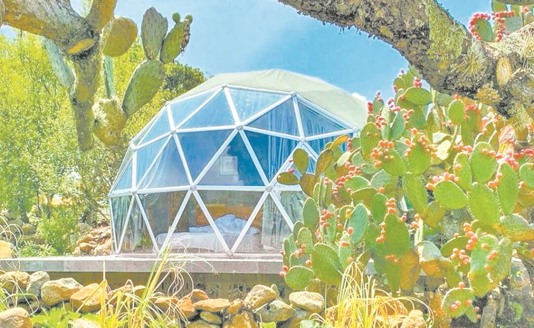 Rotamundos prevé que los espacios abiertos serán los nuevos lujos en el turismo. Foto: Archivo/ El Universal.