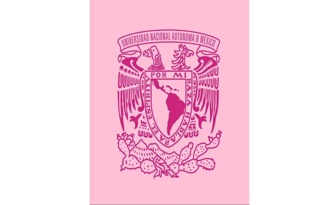 La Oficina Jurídica de la Escuela inició las investigaciones necesarias y determine lo procedente. Foto: UNAM