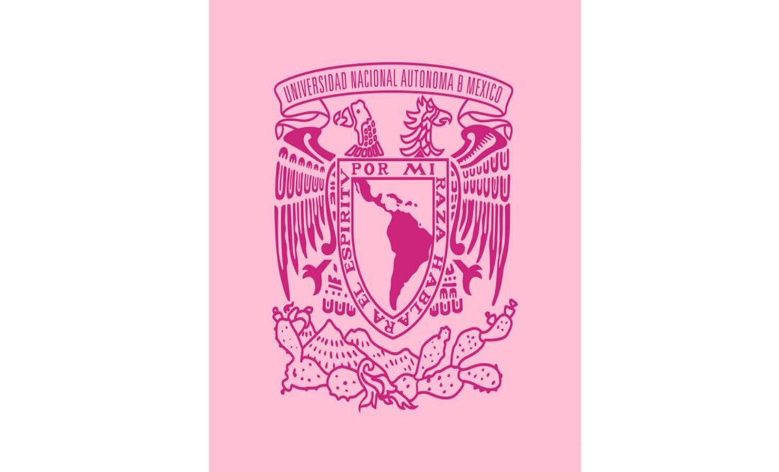 La Oficina Jurídica de la Escuela inició las investigaciones necesarias y determine lo procedente. Foto: UNAM